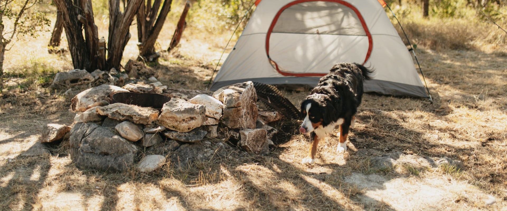 Exploring the Eco Park in Comal County, TX: A Pet Owner's Guide
