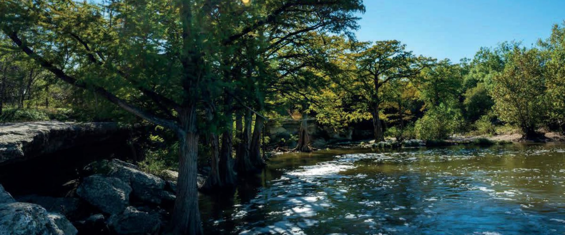 Exploring the Hidden Gem of Comal County, TX: The Eco Park