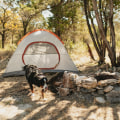 Exploring the Eco Park in Comal County, TX with Your Dog: A Nature Lover's Guide