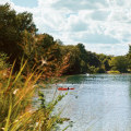 Exploring the Hidden Gem of Bird-Watching at the Eco Park in Comal County, TX