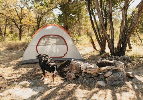 Exploring the Eco Park in Comal County, TX with Your Dog: A Nature Lover's Guide