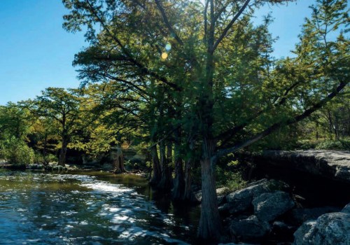 Discovering the Hidden Beauty of the Eco Park in Comal County, TX